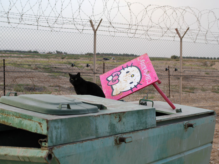 Black cat sitting on a dumpster next to a discarded pink Hello Kitty kids table.