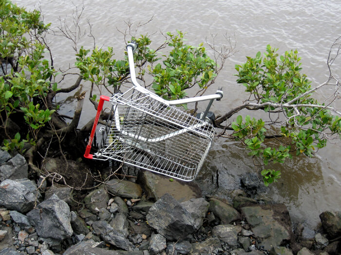 Stolen and abandoned Coles supermarket trolley dumped in a river.