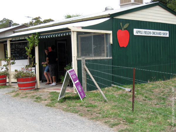 Apple Fields Orchard Shop.